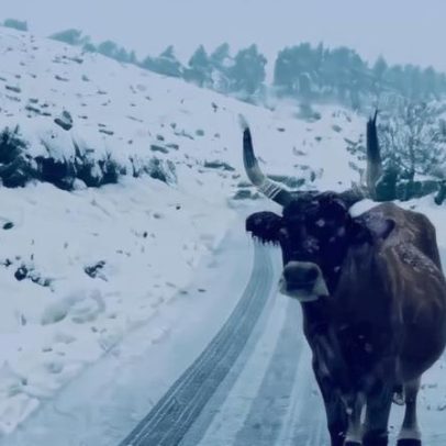 Casas, estradas e aldeias cobertas de neve no Norte