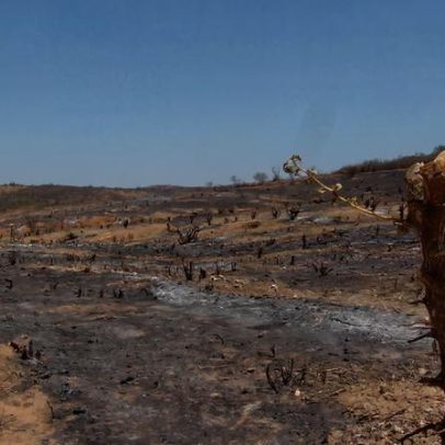 Brasil pode enfrentar o seu primeiro deserto, alerta especialistas