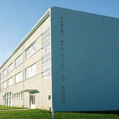 CM Vagos organiza Hora do Conto e oficina de artes Elmer e o passarão