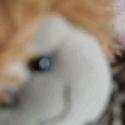 Técnico de saúde vai a julgamento em Leiria por 190 crimes de abuso sexual