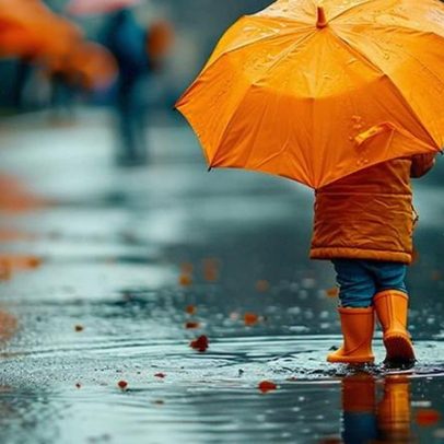 Distrito de Viseu em Aviso Amarelo por chuva e vento