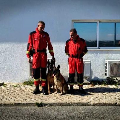 Cães de busca dos Bombeiros de Famalicão em operação em Leiria