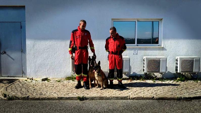 Cães de busca dos Bombeiros Famalicenses chamados para operação em Leiria