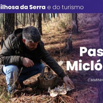 Passeio Micológico em Pampilhosa da Serra promete experiências da floresta à mesa