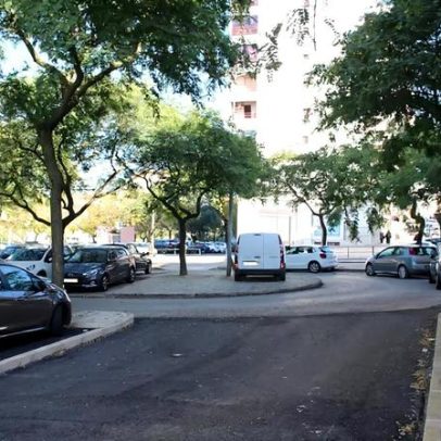 Inauguração da Rua José Pedro da Silva