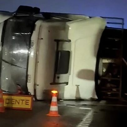 Pesado de mercadorias despista-se no IC8