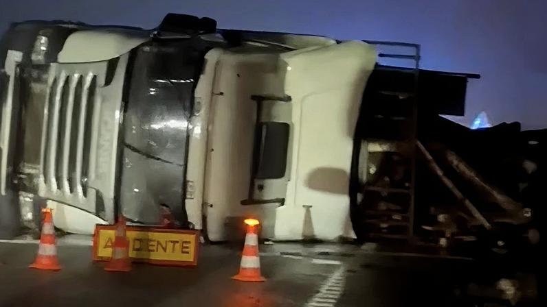 Pesado de mercadorias despista-se no IC8