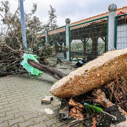 Grupo Bel instala antenas Starlink em Leiria e Pombal para restabelecer comunicações