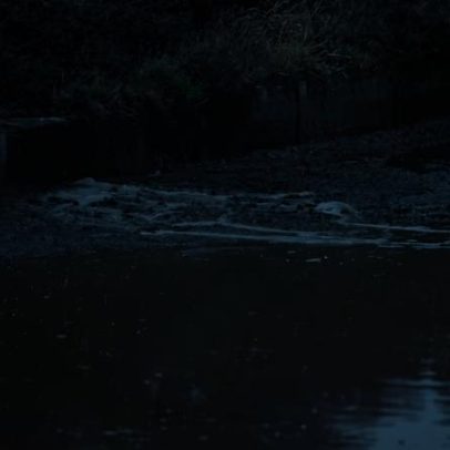 Mais de 180 milhões de euros até 2030 para intervenções em rios