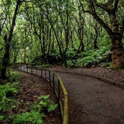 Novas regras para percorrer trilhos na Madeira entram em vigor