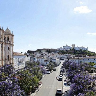 Municípios Serra d’Ossa fecham Cidade do Vinho 2025 em Estremoz a 31 de janeiro