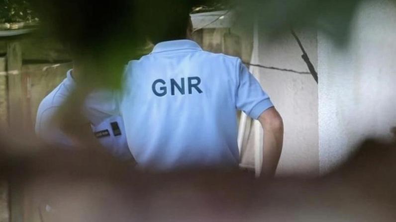 Seis pessoas constituídas arguidas por furto de gado e metais nos concelhos de Avis e Mora