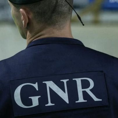 GNR apreende 11 mil euros em produtos ilícitos na Madeira