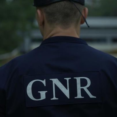 GNR apreende 100 kg de pescado fresco nos Açores