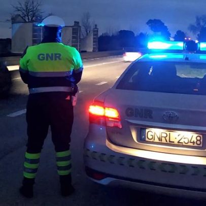 GNR interceta três pessoas em flagrante furto de azeitonas em Campo Maior