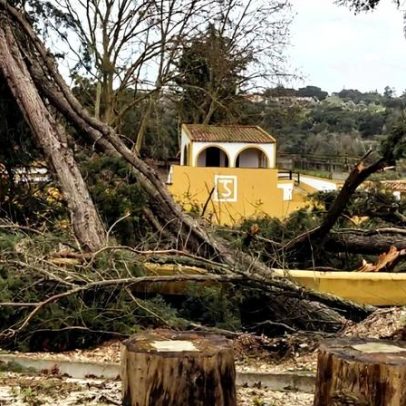 Mau tempo: Kristin registra 610 ocorrências no Médio Tejo