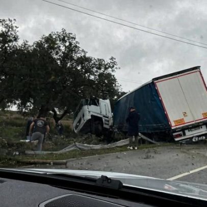 Motorista de veículo pesado morre em despiste na EN119