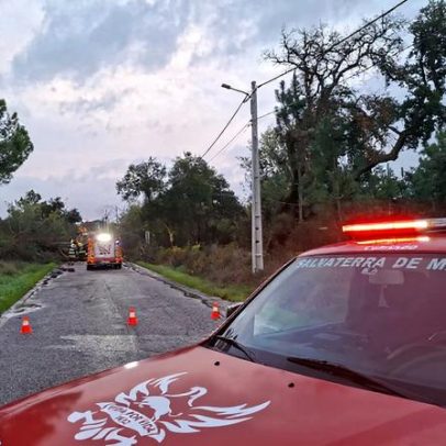 Proteção Civil registou 3.300 ocorrências no continente por depressão Kristin