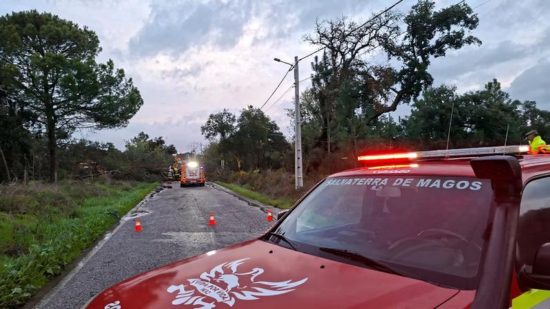 Mau tempo: Proteção Civil registou 3.300 ocorrências no continente devido a depressão Kristin