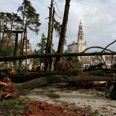 Mau tempo derruba dezenas de árvores no Santuário de Fátima