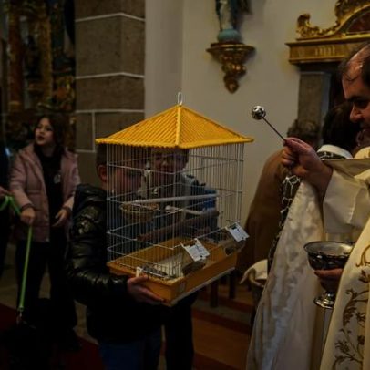 Padre benze cabras, cães, aves e galinhas para ver se põem muitos ovos