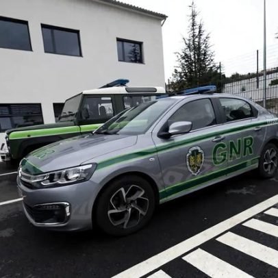 GNR recupera 50 bezerros roubados em Beja
