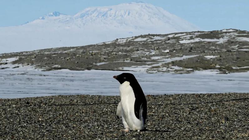 Imagem de contexto do artigo Comboios suburbanos parados na Catalunha após acidente que matou maquinista