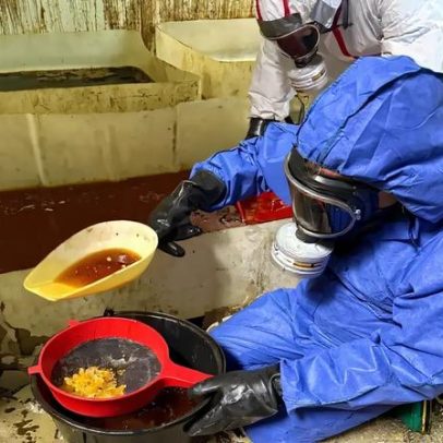 Europol desmonta 24 laboratórios de drogas sintéticas e prende 85 pessoas