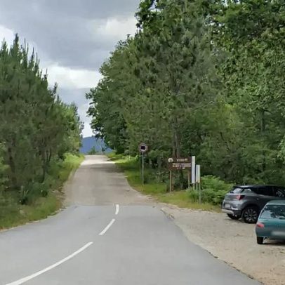 Terras de Bouro investe 800 mil euros em acesso à Mata da Albergara
