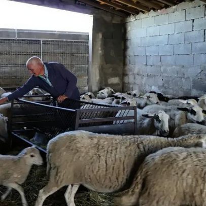 Governo lança pacote de 30 milhões para atrair novos pastores