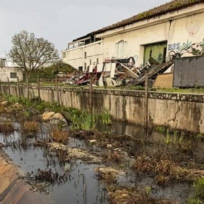 Destilaria no Bombarral descarga ilegal de águas residuais