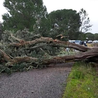 Portalegre: escolas encerradas, estradas cortadas e danos em estruturas