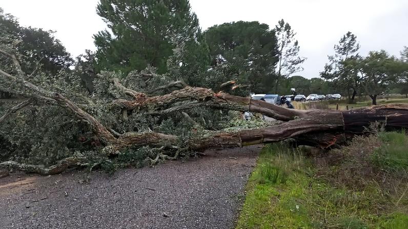 Foto: Município de Avis/Facebook