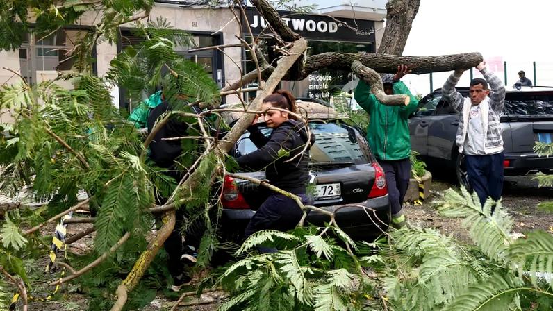 Foto: António Pedro Santos/Lusa