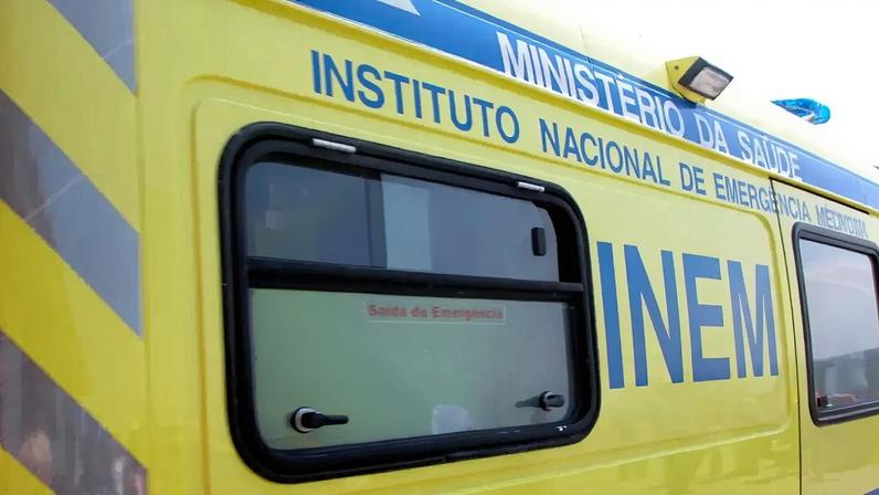 Instituto conta atualmente com 296 profissionais, dos quais 220 em funções