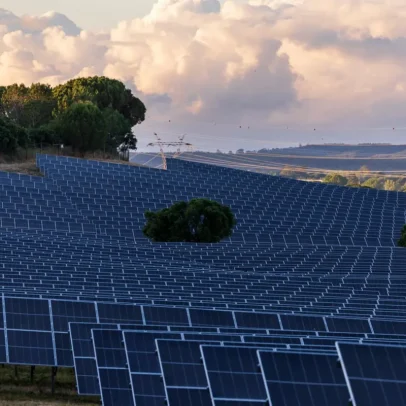 Contestação à megacentral solar na Beira Baixa vai hoje à AR