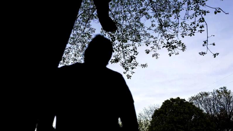 O estado onde se realizaram mais resgates foi Mato Grosso, onde o setor agropecuário tem um peso fundamental