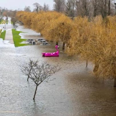 Gangue de Lisboa cercou e roubou jovens adeptos do Rangers no centro do Porto