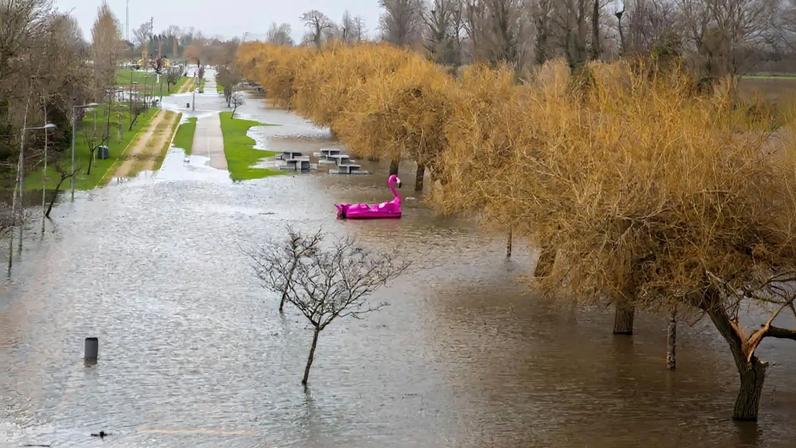 Gangue de Lisboa cercou e roubou jovens adeptos do Rangers no centro do Porto