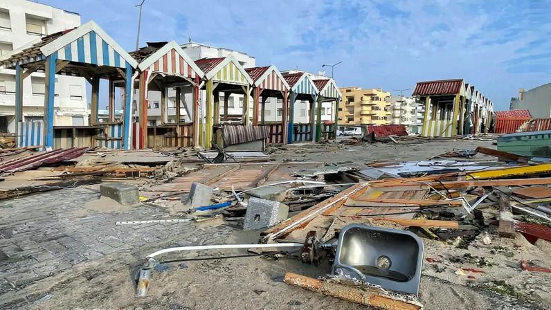 A morte de Orelha motivou uma onda de comoção e indignação gerais
