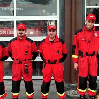 Cadela Bonny chorou ao encontrar menino desaparecido