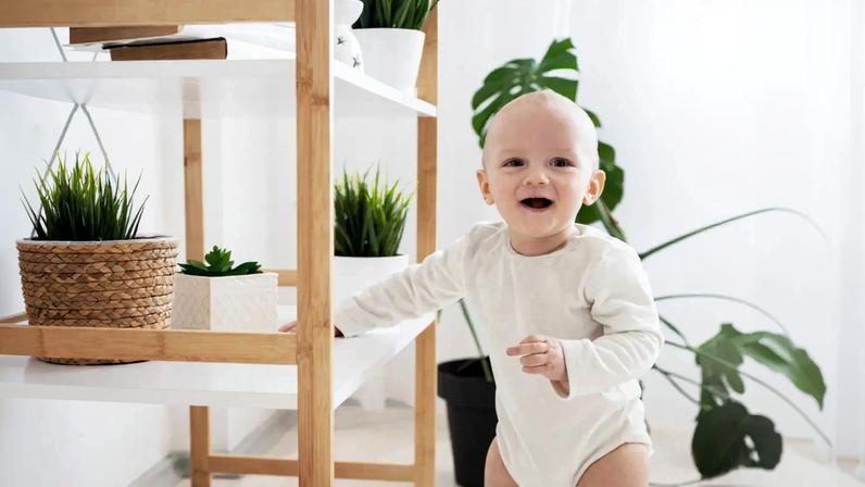 Imagem de contexto do artigo Pequenos, rápidos e eficazes