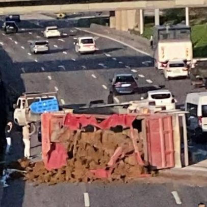 Motorista fica ferido após despiste na A1 em Alverca