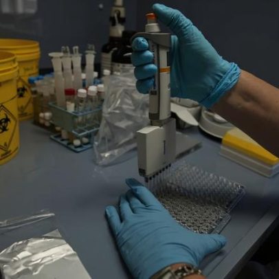 Cientistas de Coimbra desenvolvem molécula inovadora para tratar cancro