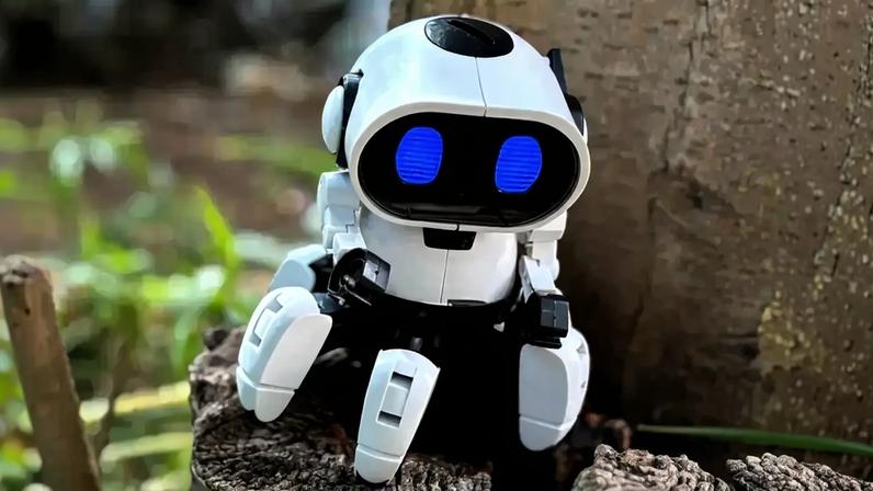 Este é "um dos estudos mais extensos" sobre a questã. Foram inquiridos 935 alunos