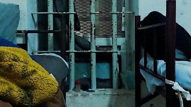 The Pitt e Adolescência vencem os maiores prémios nos Globos de Ouro