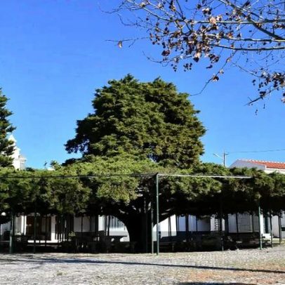 Reinaldo Ventura vive sonho realizado e mostra vontade de vencer