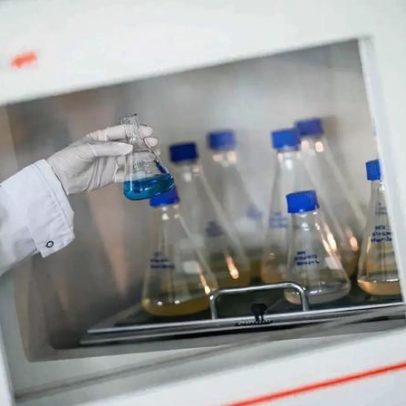 Quase 30% das portuguesas atrasam rastreio do colo do útero por motivos laborais