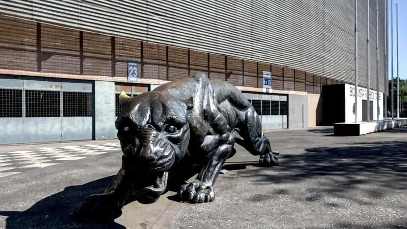 Boavista está a competir nos distritais do Porto
