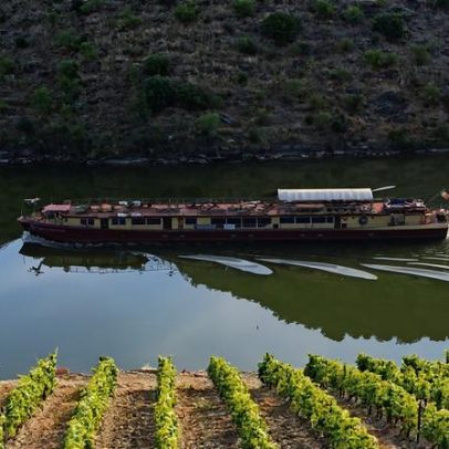 Autoridade da Mobilidade quer ligar transporte fluvial do Douro à ferrovia